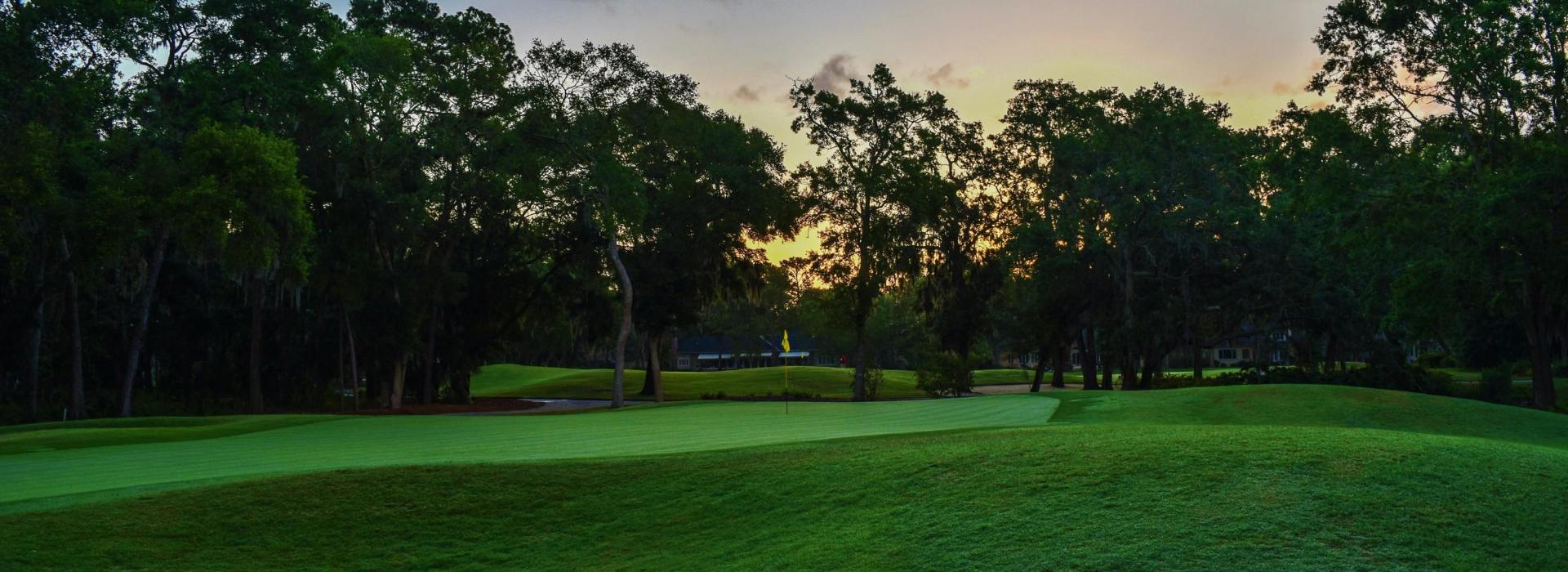 golf course green